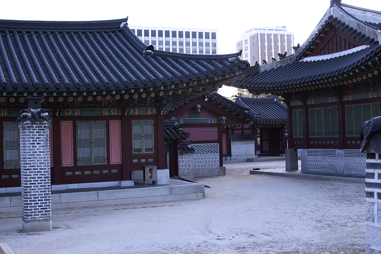 _MG_2456.jpg