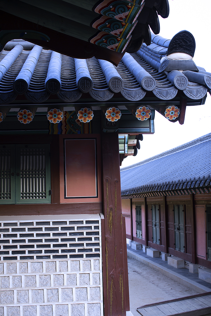 _MG_2466.jpg