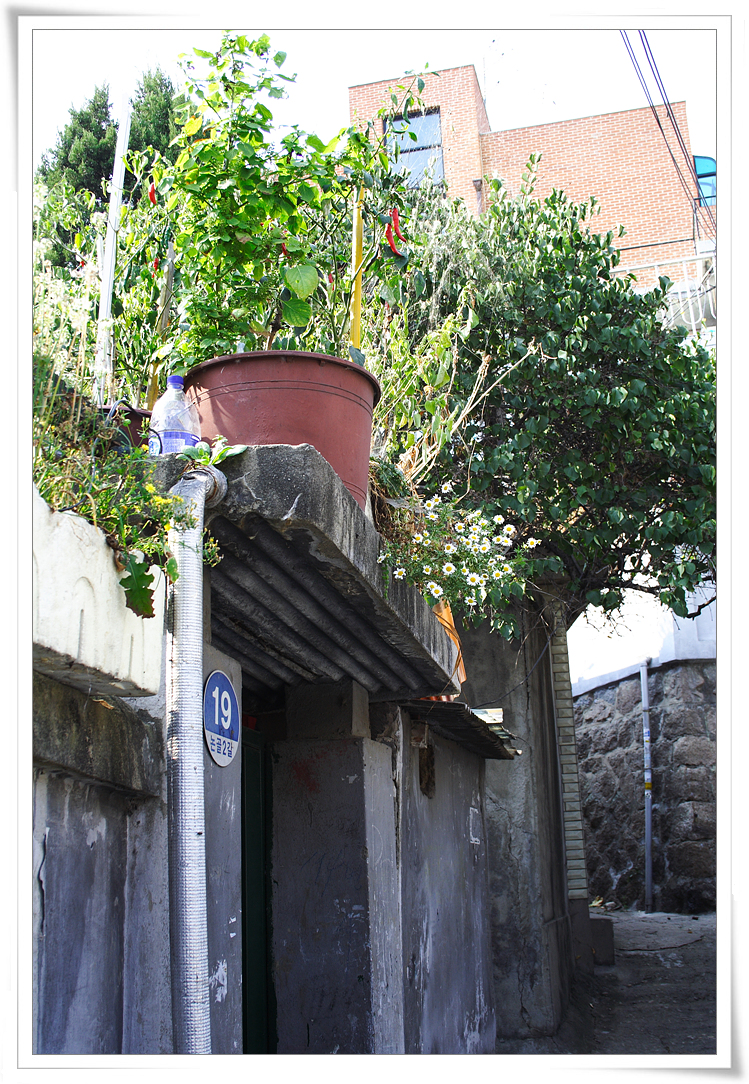 DPP_1382.jpg