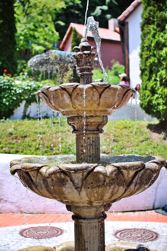 IMG_8679.jpg