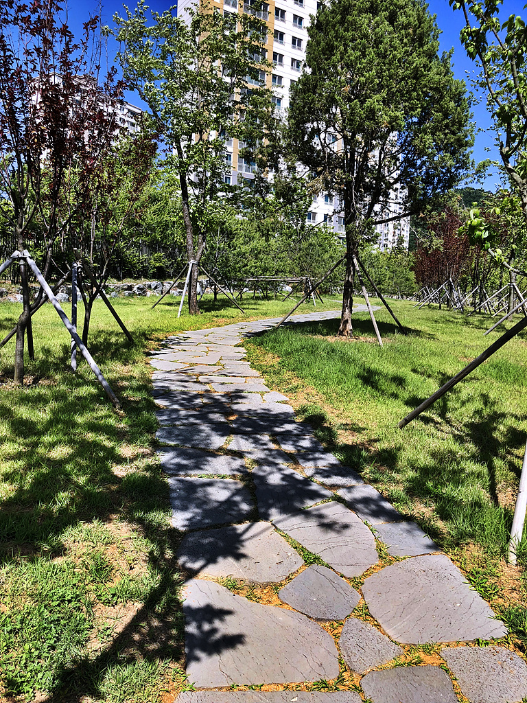 20180602_063427813_iOS.jpg