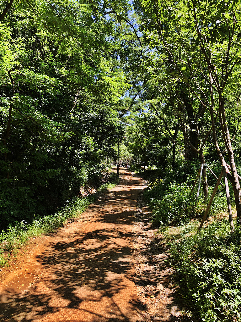 20180602_050800983_iOS.jpg