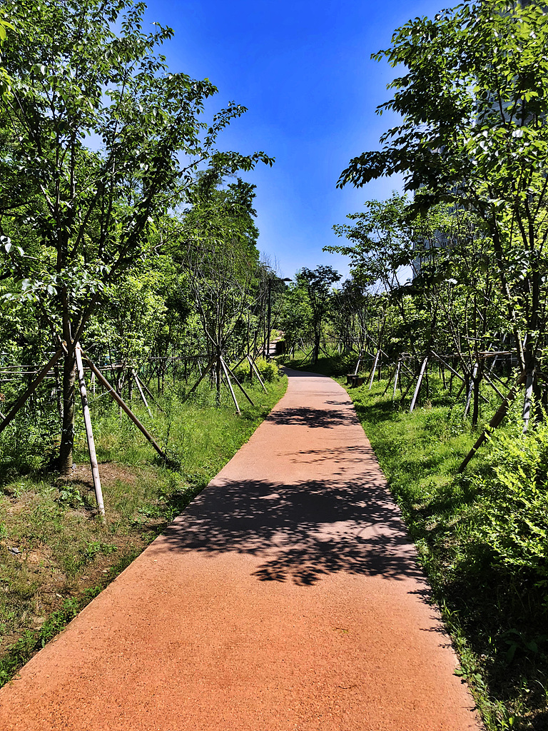 20180602_050501029_iOS.jpg