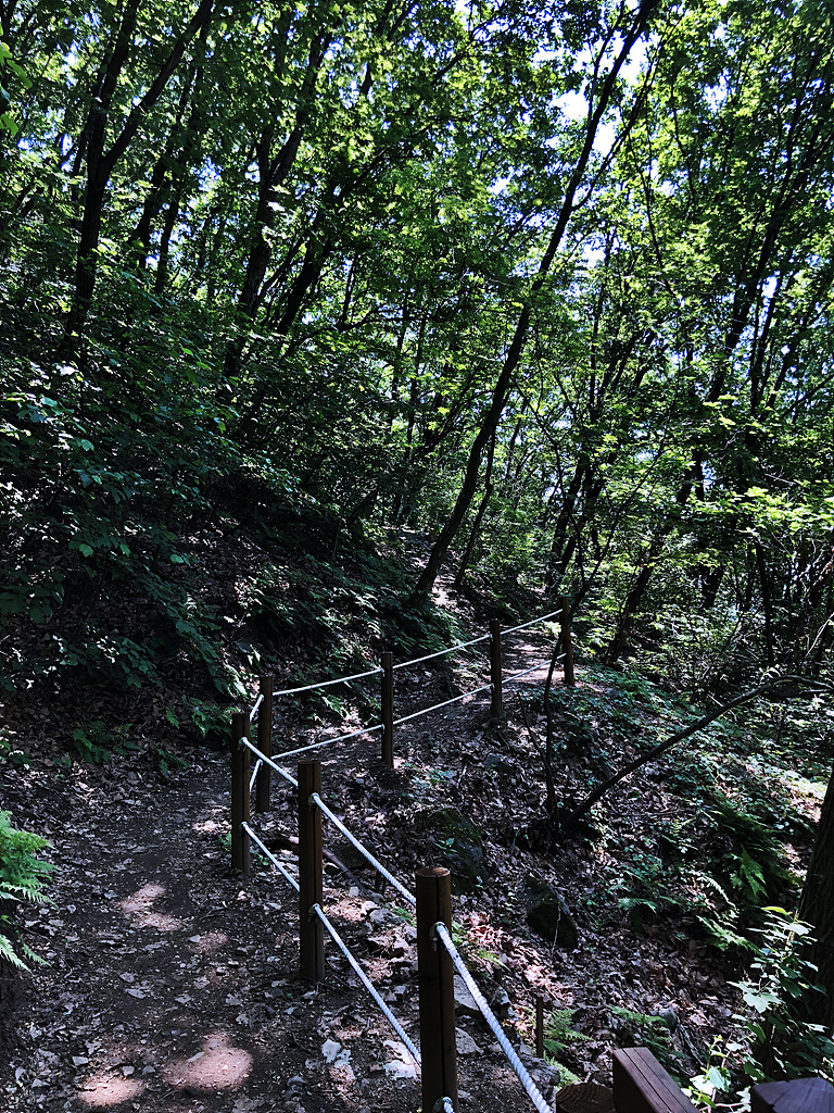 20180602_052241866_iOS.jpg