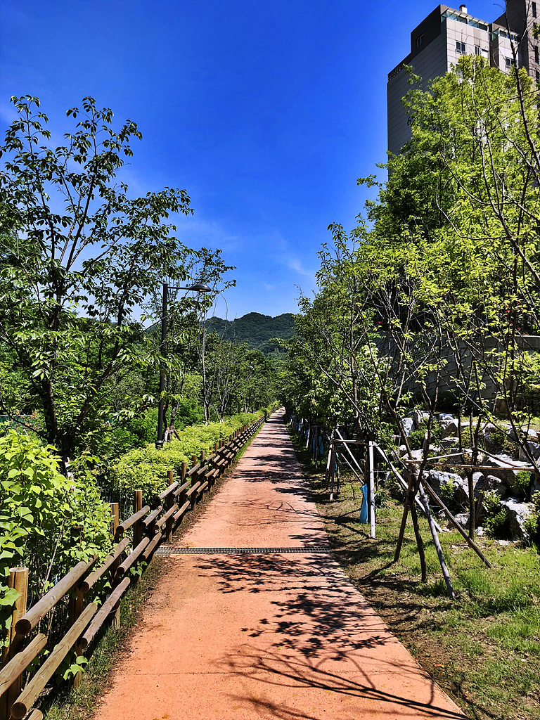 20180602_050028974_iOS.jpg