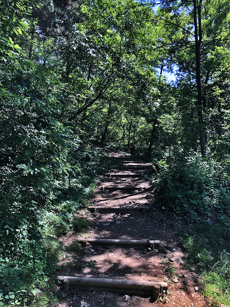 20180602_052046827_iOS.jpg