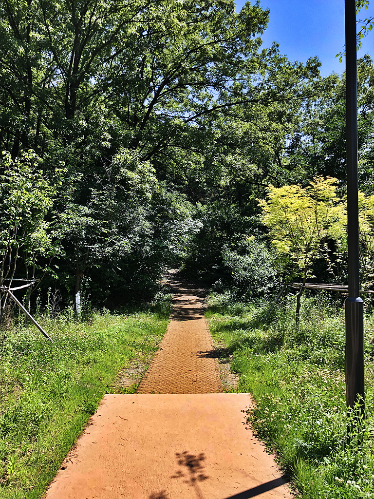 20180602_051915334_iOS.jpg