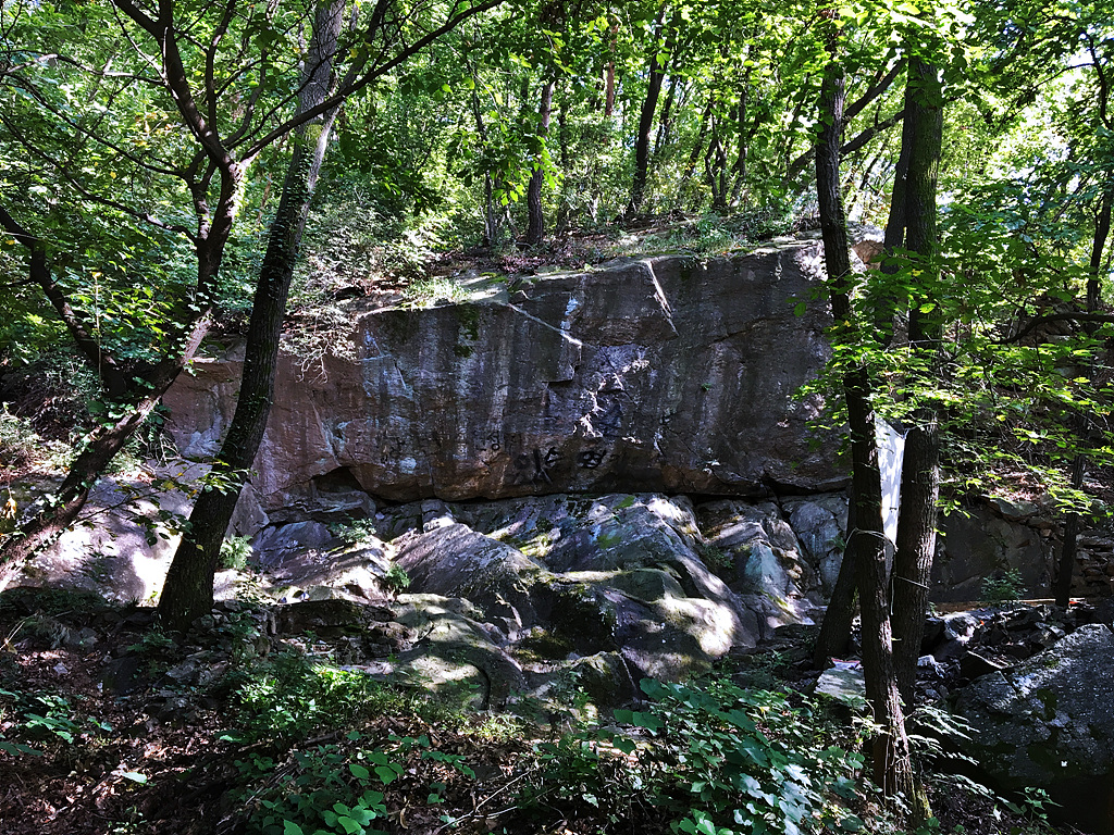 IMG_1612.jpg