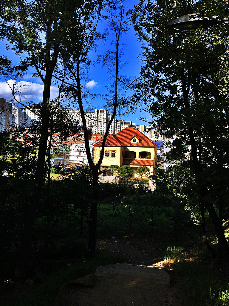 IMG_1635.jpg