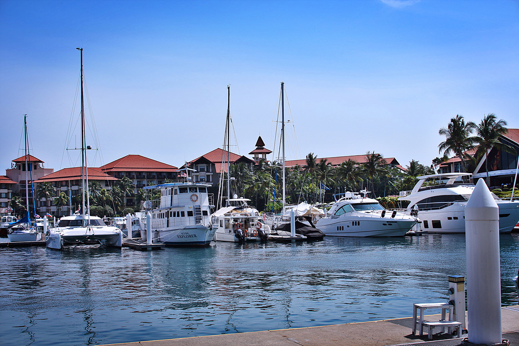 IMG_8931.jpg
