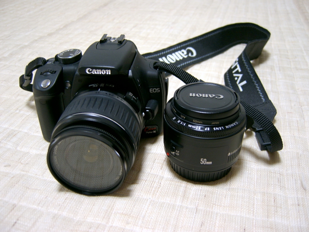 350d.JPG